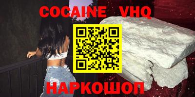 стаф Дубна