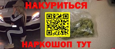 стаф Дубна