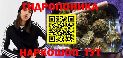 эйфоретик Донской