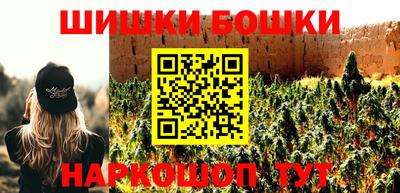 стаф Дубна