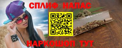 стаф Дубна