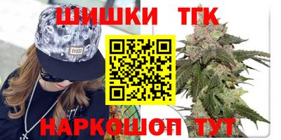 стаф Дубна