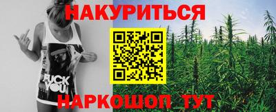 стаф Дубна