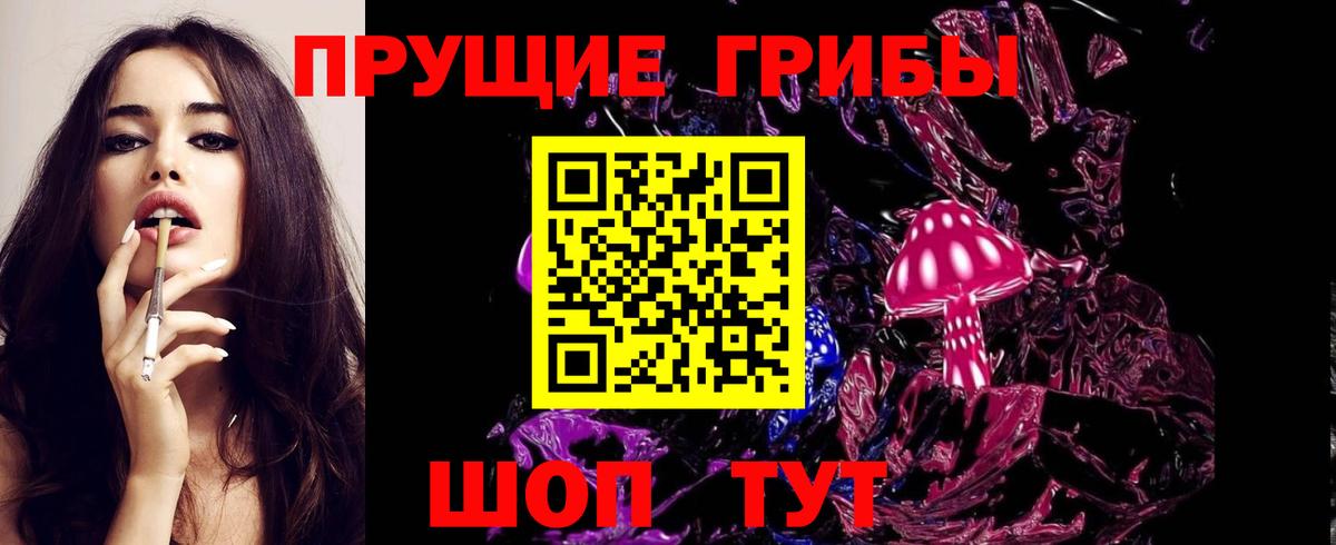 Гуково  Галлюциногенные грибы Psilocybine cubensis  Вход с VPN 